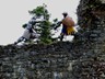 2011_likava_stretavka_skupin (12)