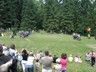 2010_Likava (7)