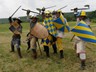 2011_rozhanovce (1)