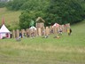 2008_Lietava_4.6 (7)